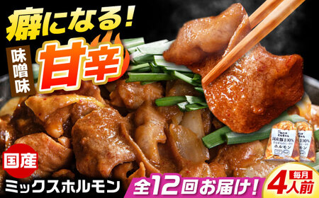 【12回定期便】「元祖みたけとんちゃん」 昔ながらのミックスホルモン 2袋（4人前） [AVAA084]ホルモン