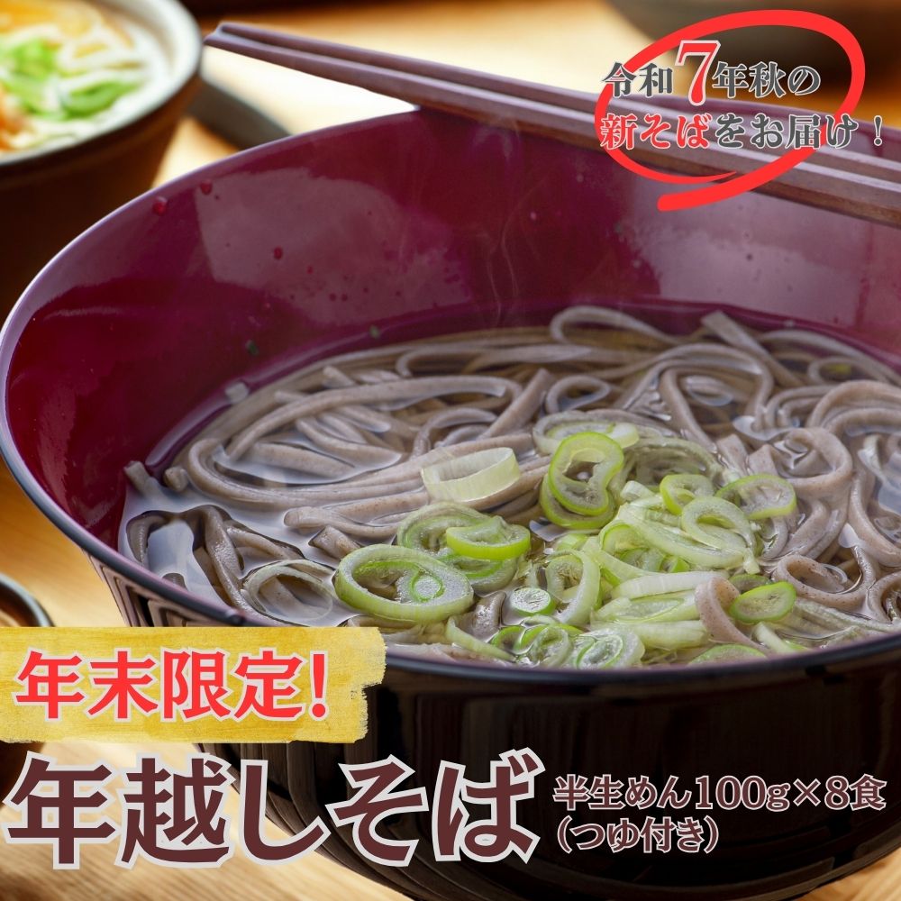 【ふるさと納税】年越しそば 用 R7秋 新そば 豊後高田そば（100g×8食・つゆ付） 12/17～28配送 年末 年内配送 なまそば 乾麺 年越し 送料無料