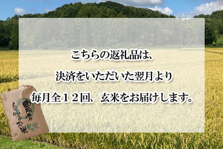 ＜ 定期便 12回 ＞ 北海道産 希少米 おぼろづき 玄米 5kg 北海道 新ひだか町