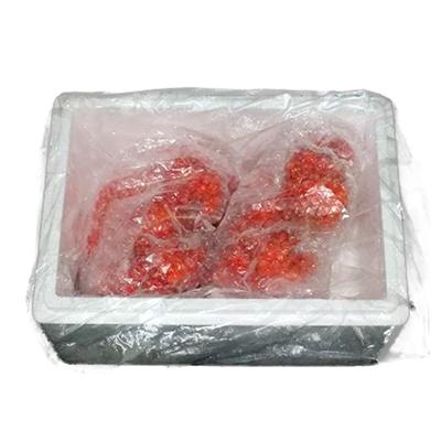 ふるさと納税 根室市 【北海道根室産】ボイル花咲がに2尾(計約700g) G-42010 |  | 03