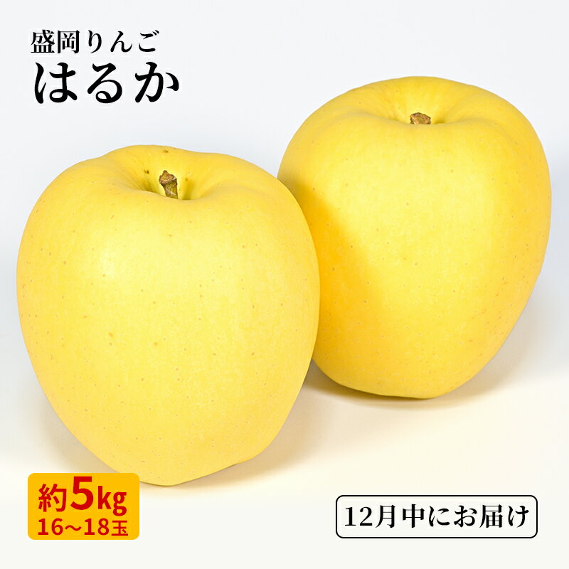 【ふるさと納税】12月限定 りんご 『はるか』 生果実 盛岡りんご 約5kg(18個) 箱 盛岡市 下久保農園産 　お届け：2025年12月10日から2025年12月20日まで