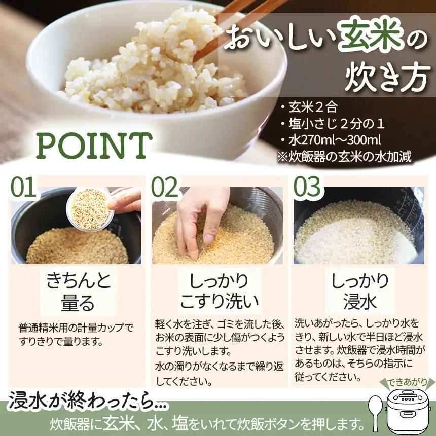 先行予約【定期６回】【令和8年度産】栃木県産とちぎの星 4kg | 【栃木県共通返礼品】 