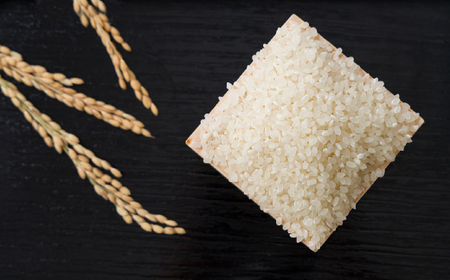 【食味鑑定士厳選】鳥取県産 きぬむすめ20kg(5kg×4袋) 精米【1644356】