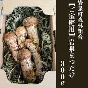 ≪ご家庭用に≫　岩泉まつたけ  300g_野菜 松茸 きのこ まつたけ マツタケ_【配送不可地域：離島】【1424099】