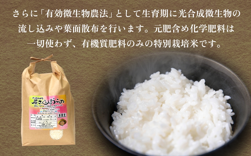 【令和8年産米先行受付】原さんちのお米 白米 ４kg ひとめ