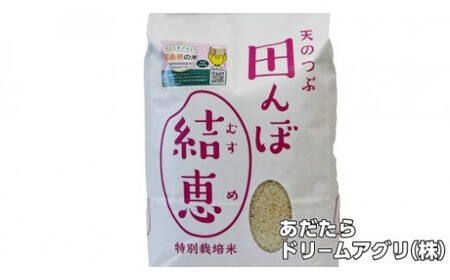 【 令和7年産】【 おいしいお米コンクール 受賞米 あだたらドリームアグリ（株）】 天のつぶ 10kg  福島県 大玉村 てんのつぶ テンノツブ 