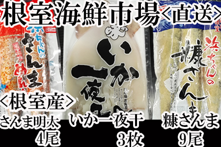 【北海道根室産】いか一夜干し3尾・さんま明太4尾・糠さんま9尾 A-11180