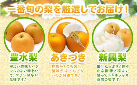 先行予約 くまもと 梨 訳あり 熊本県産 約5kg 6～17玉 フルーツ 予約 秋 旬 クール便 《2024年8月末旬-10月中旬頃より出荷予定》 SDGs 梨 先行予約 なし 果物 デザート ギフト