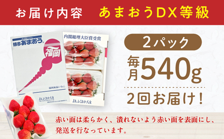 【2回定期便】 あまおうG等級 1ケース（270g×2パック） / イチゴ イチゴ イチゴ イチゴ イチゴ イチゴ イチゴ イチゴ [AFAB083]