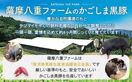 HS-304 【訳あり】かごしま黒豚切り落とし定期便 1kg×12回定期便