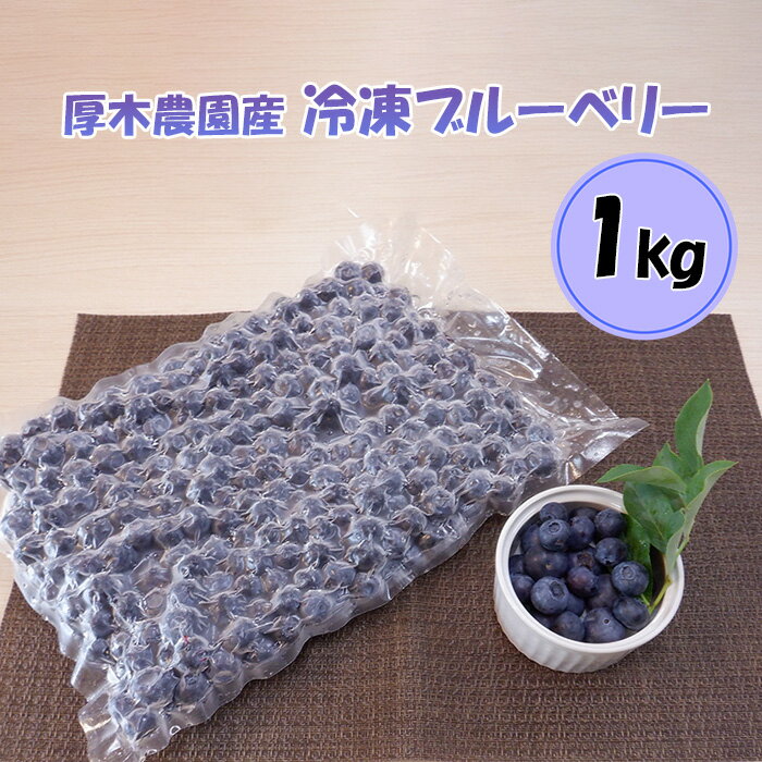【ふるさと納税】厚木農園産　プレミア冷凍ブルーベリー（1kg） ／ 飯山 自然 栽培 丁寧 選別 送料無料 神奈川県