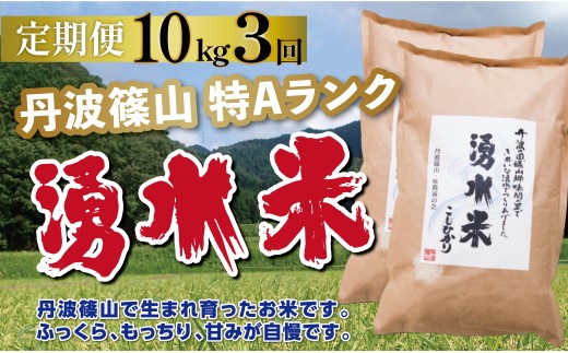〈定期便 特Aランク〉令和7年産 丹波篠山産 特A コシヒカリ 湧水米  【 10kg ( 5kg × 2袋 )  3回 】 | 丹波篠山 お米 おこめ ブランド米 ごはん ご飯 白米 米 コメ こめ 精米 精白米 おいしい米 美味しいお米 兵庫県 お取り寄せ こしひかり コシヒカリ