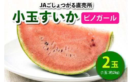 小玉すいか (ピノガール) 2玉入｜2025年 令和7年 小玉 スイカ すいか 西瓜 果物 フルーツ 旬 産直 特産品 数量限定 [0643]