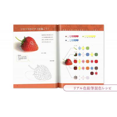 ふるさと納税 文京区 リアル色鉛筆レッスン本3点セット 日貿出版社 書籍 色塗り 混色[55000315] |  | 03