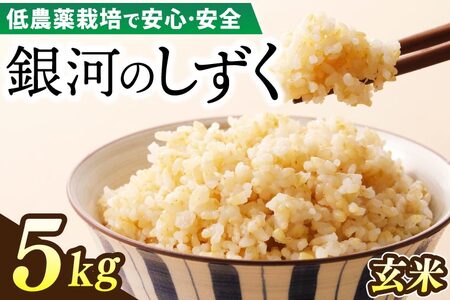 【新米 先行予約】令和6年産 銀河のしずく 5kg (玄米) 低農薬栽培米 生産者直送 (EI007)