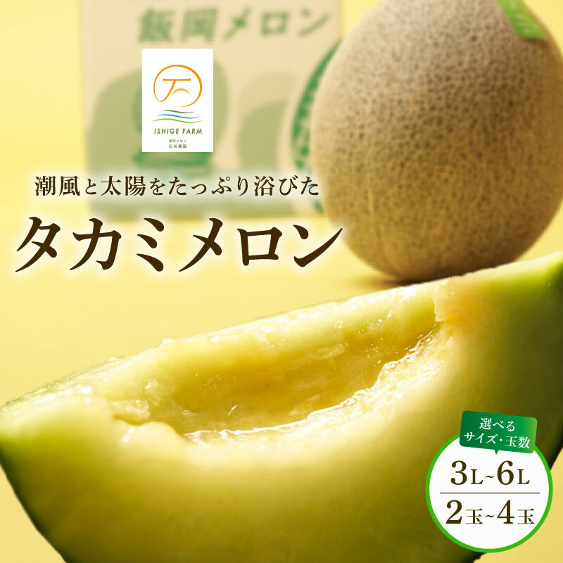 【ふるさと納税】 ＜2025年 先行予約 ＞ タカミメロン 青肉 選べる 2玉 ～ 4玉 (3L～6Lサイズ) 6月 7月 発送 産地直送 メロン 高級 ブランド 糖度 タカミ 飯岡メロン ブランドメロン 贈り物 贈答 ギフト プレゼント 果物 フルーツ おすすめ 千葉県 旭市 飯岡 石毛農園