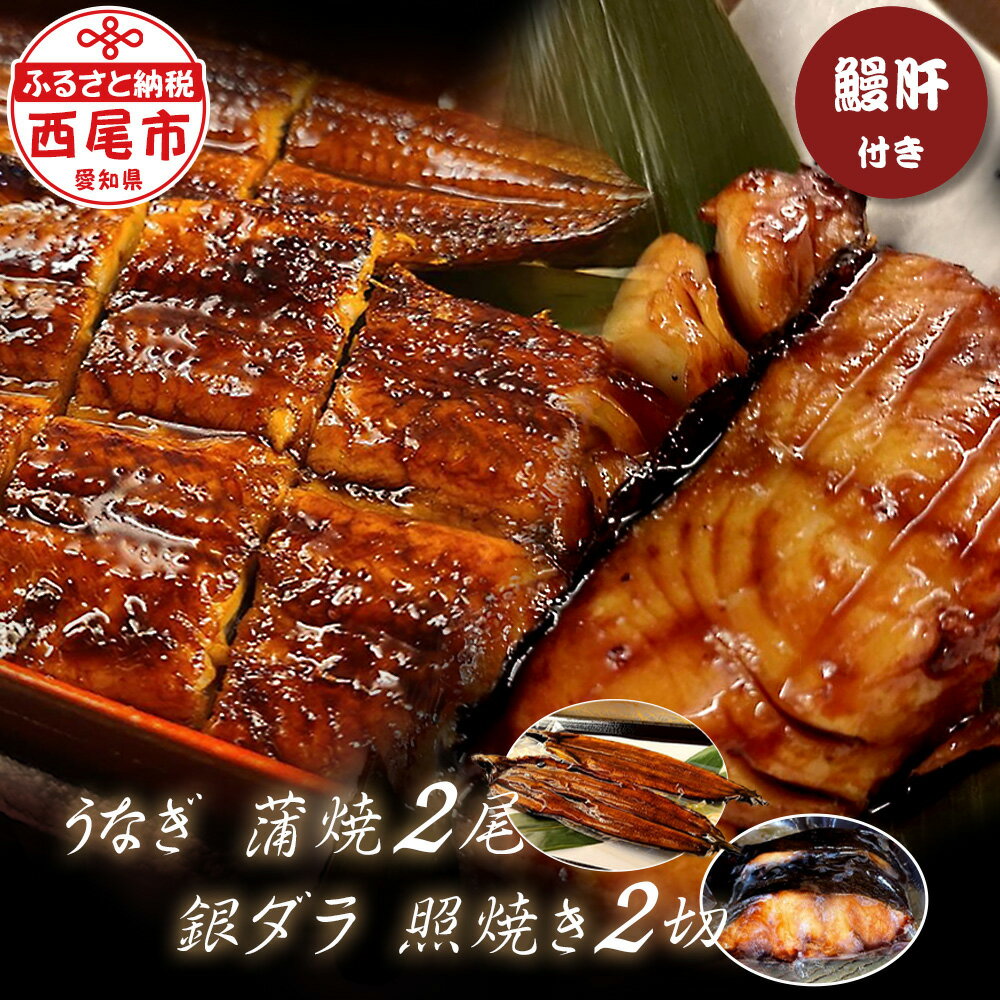 【ふるさと納税】【三河一色 うなぎ 中サイズ 蒲焼 2尾（240g以上）＆銀ダラ（80g以上） 照焼き 2切】鰻肝付き F022-19【冷凍便】 蒲焼き 照り焼き テリヤキ 惣菜 ギンダラ 国産うなぎ ウナギ 鰻 愛知県産 西尾市産 西尾一色産 タレ付き たれセット かば焼き 肝 肝焼き MB