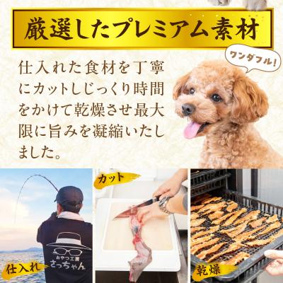 ふるさと納税 小牧市 【厳選素材】犬猫用国産無添加おやつ 鯛・名古屋コーチンむね肉・レバー めで鯛セット[143O29] |  | 01