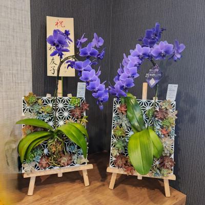 ふるさと納税 東郷町 Epiphyte　Art　Products　麻の葉　L　白 |  | 03