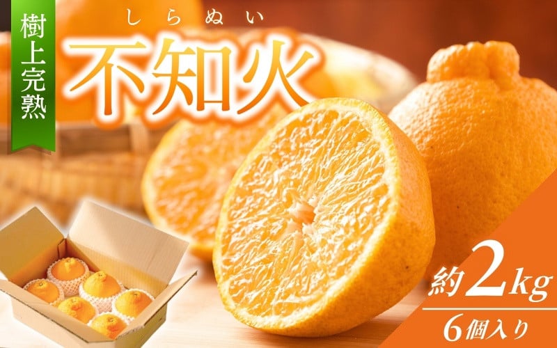 
            不知火 秀品 数量限定 樹上完熟しらぬい 不知火 約2kg (6個) / みかん ミカン しらぬい 不知火 フルーツ 果物 くだもの 柑橘 産地直送 和歌山【2026年2月下旬～2026年4月中旬頃に順次発送予定（お届け日指定不可）】【kgr005】
          