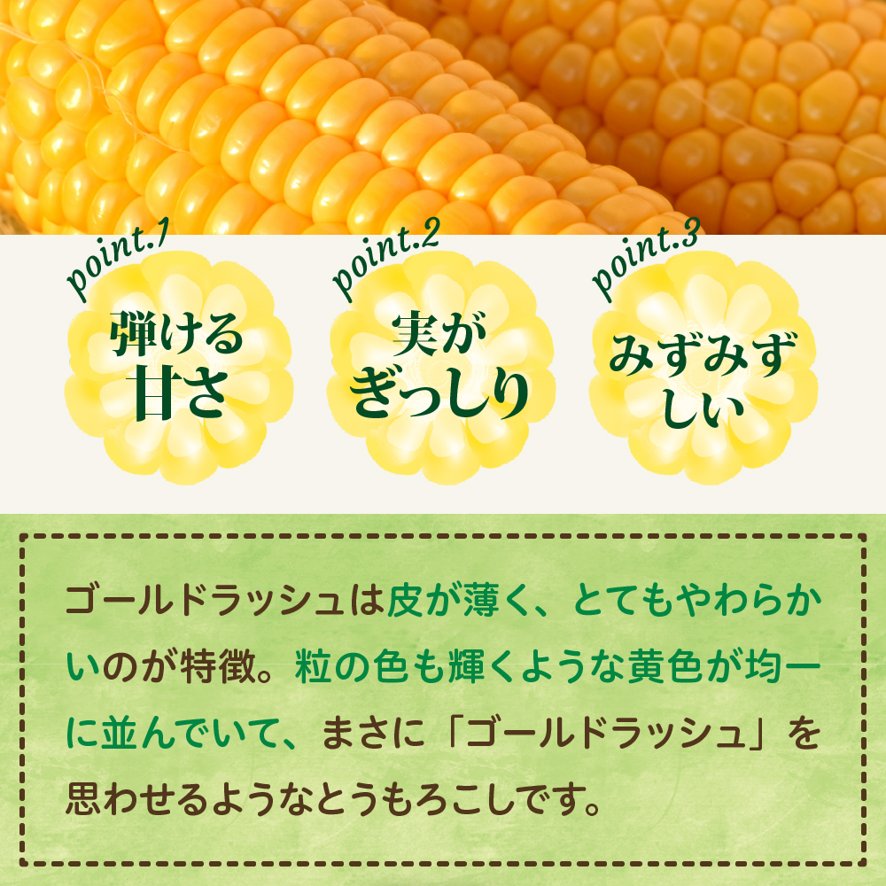 【2027年産】とかち晴れ 十勝めむろ スイートコーン 13本 meb010-005-27 / ゴールドラッシュ とうもろこし 甘い 人気 朝採り 産地直送 送料無料 北海道 十勝 芽室町