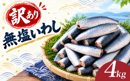 【訳あり】 無塩 いわし 約4kg 冷凍 国産 イワシ 鰯 内蔵処理 頭なし 料理 簡単調理 手軽 和風 和食 おかず 惣菜 弁当 魚 海鮮 魚介 訳あり 南伊勢町産 三重県 伊勢 志摩