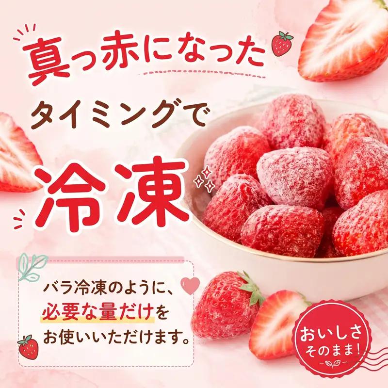 いちご 冷凍 訳あり 3kg いちご