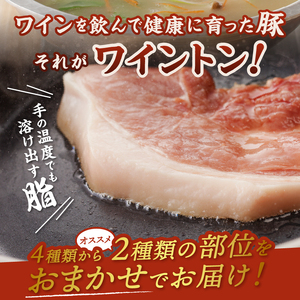 ワイントン焼肉セット900g（ピンク岩塩付き） B-255