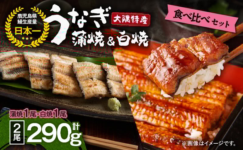 
            1876 大隅特産うなぎ蒲焼1尾（170g）・白焼1尾（120g）食べ比べセット　KN060-001-06
          