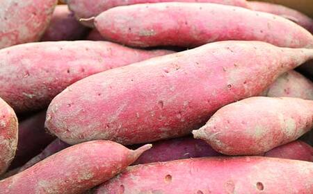 上品な甘さの【シルクスイート】1kg （栽培期間中、農薬、化学肥料不使用） さつまいも サツマイモ 芋 F3S-2001