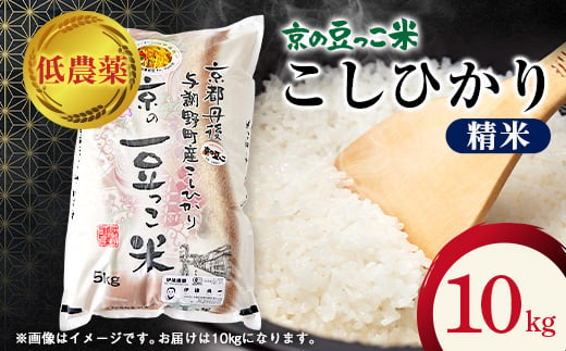 令和8年産新米「京の豆っこ米」低農薬コシヒカリ　精米10kg 農家直送　京都与謝野町【伊達農園】【1711767】