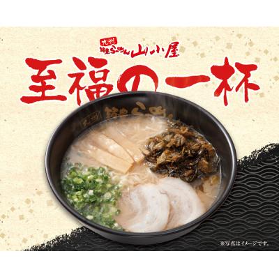 ふるさと納税 福智町 九州筑豊ラーメン 高菜生ラーメンとんこつ10食セット |  | 02