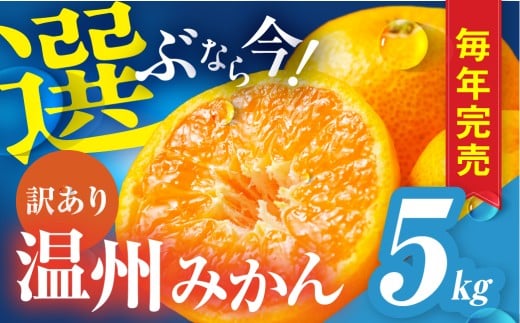 温州みかん ご家庭用 5kg 訳あり 年末配送 年内配送 選べる わけあり 5キロ みかん ミカン 蜜柑 mikan 柑橘 旬 フルーツ 果物 愛知県 豊橋市 国産 豊橋産 愛知県 豊橋市