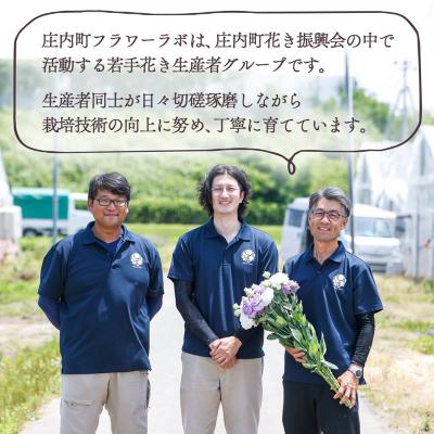 ふるさと納税 庄内町 【R8.9月下旬~11月初旬】庄内町フラワーラボ トルコギキョウ 生産者おまかせ 20本 |  | 01