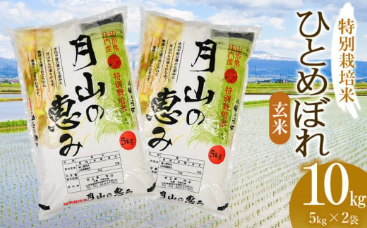 【令和6年産 新米】 特別栽培米 ひとめぼれ 玄米 10kg（5kg×2袋）山形県鶴岡市産　米工房 月山