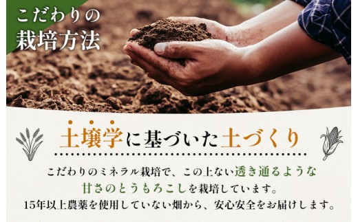 【先行予約】上原農場直送 有機栽培とうもろこし (サニーショコラ) 約10kg 約20本前後