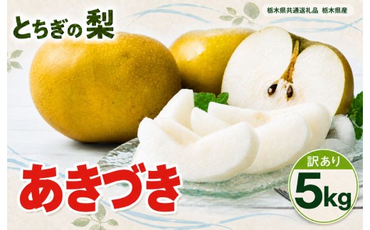 梨 なし あきづき 訳あり 5kg 【栃木県共通返礼品】栃木県産｜果物 フルーツ おいしい お取り寄せ 栃木県 下野市