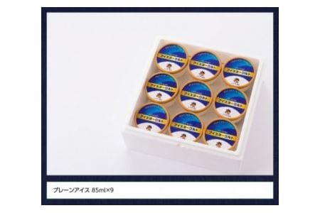 初恋の味　アイスヨーグルトセット 【 アリマン 菓子 デザート 詰め合わせ アイス ヨーグルト 】 