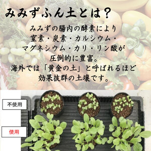 堆肥 5L (2.5kg) 肥料 堆肥 みみず