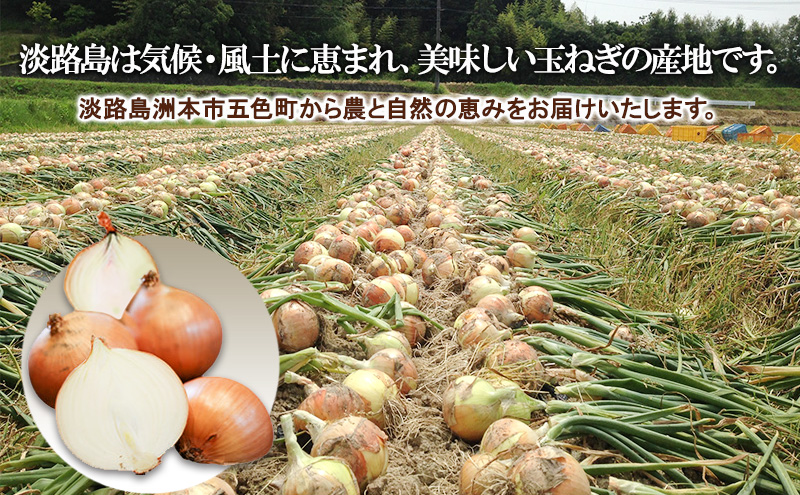 淡路島産 栽培期間中 無肥料・無農薬・自然栽培玉ねぎ 小玉サイズ 10kg 兵庫県 洲本市 淡路島