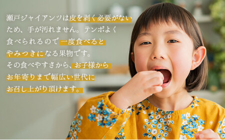 【期間限定】 鏡野町産 瀬戸ジャイアンツ 2kg（2～4房）