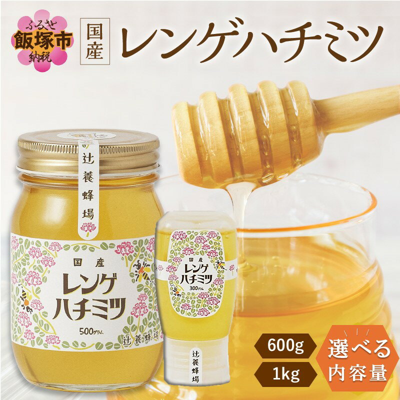 【ふるさと納税】＼内容量が選べる／レンゲハチミツ　300g×2 500g×2 瓶入り 国産 蜂蜜 はちみつ レンゲ蜂蜜 自然由来 非常食 デザート
