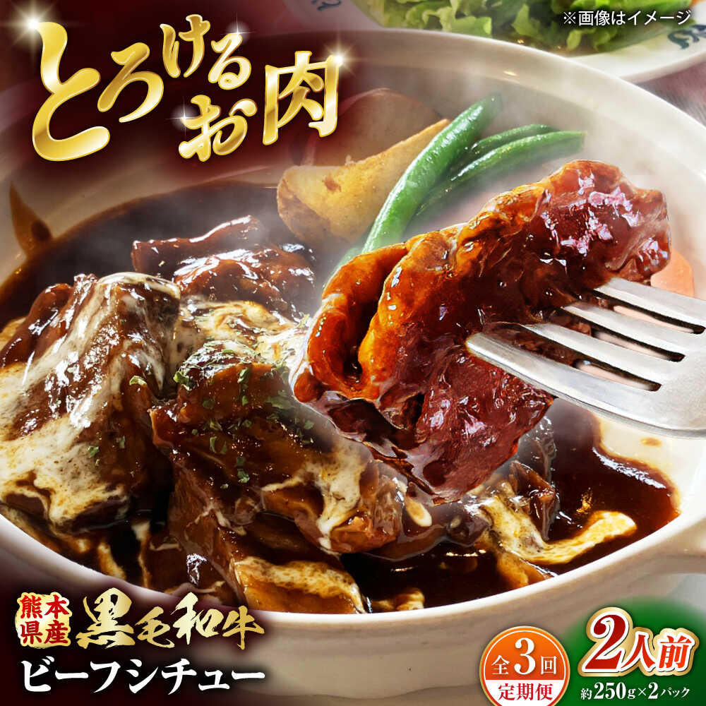 【ふるさと納税】【全3回定期便】 熊本県産 黒毛和牛 くまもと黒毛和牛 こだわりのビーフシチュー 計2パック （約250g×2パック） ビーフシチュー ビーフ シチュー 牛肉 肉 　【有限会社スイートサプライなかぞの】[ZBV108]