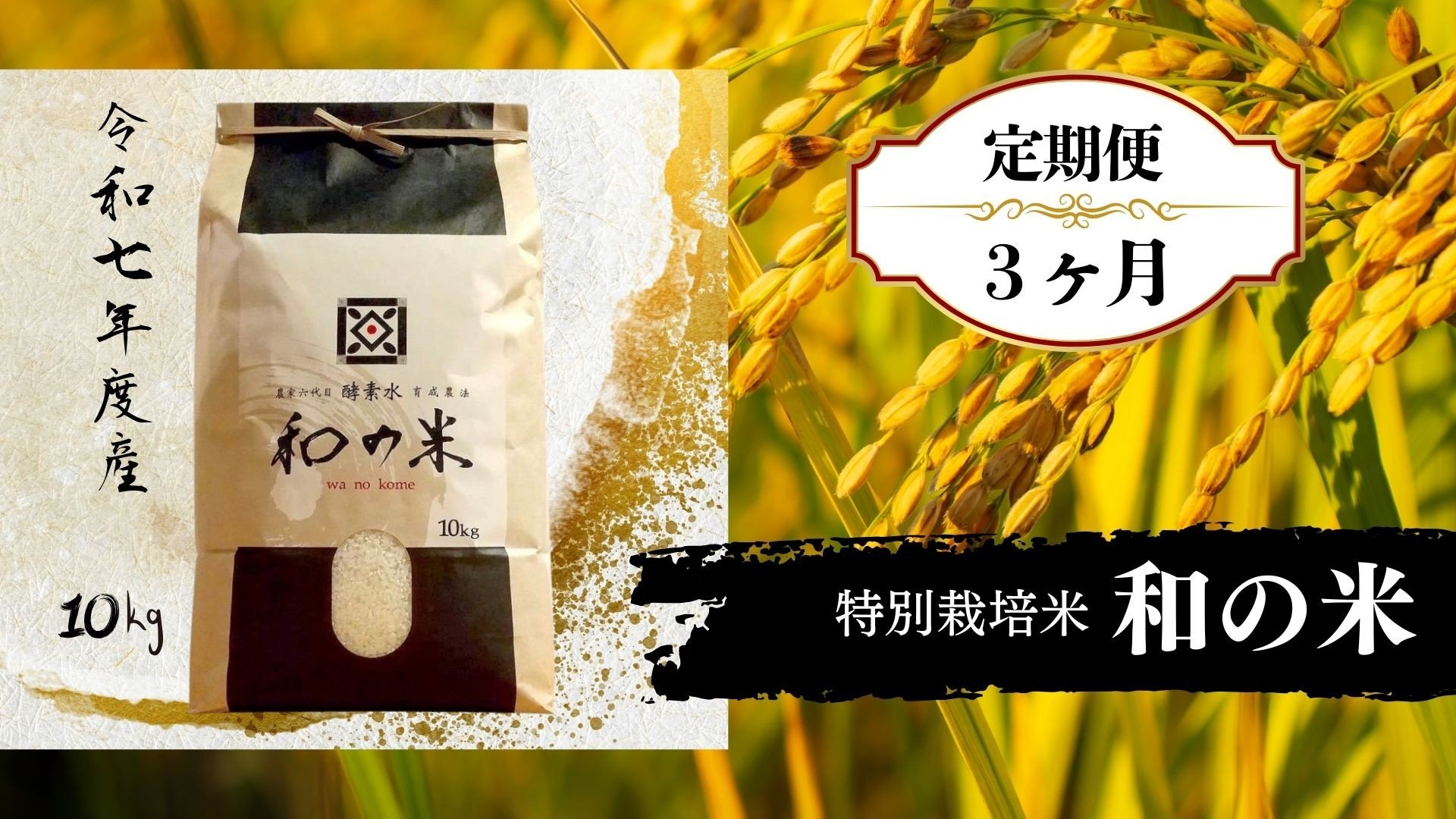 
            【3ヵ月定期便】《 令和7年産 》和の米「酵素米」　精米10kg×3回 ／ 米 こめ コメ お米 おこめ コシヒカリ こしひかり 和の米 酵素米 特別栽培認証 新米 白米 精米 ごはん ご飯 令和7年産 10kg 定期便 茨城県 利根町 送料無料
          