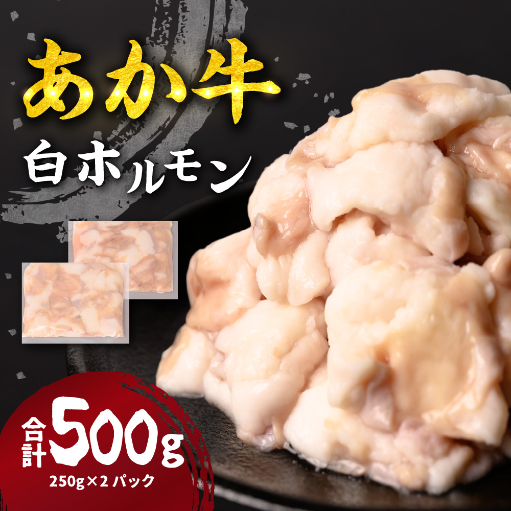 【選べる定期便・単品】 あか牛 白ホルモン 500g ×1回 250g×2パック