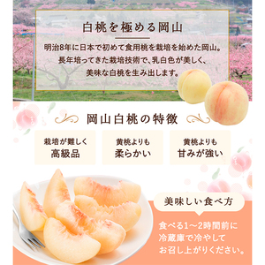 桃 2024年 先行予約 白桃 5玉 (1.5kg以上) 等級：ロイヤル 木箱入り もも モモ 岡山県産 国産 フルーツ 果物 セット ギフト