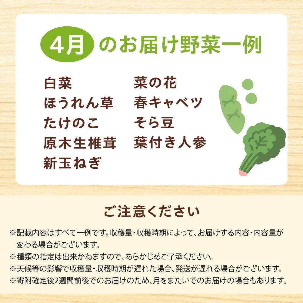 高槻おまかせ野菜詰め合わせセット 4月（10種〜15種）[AOCS010] 野菜セット