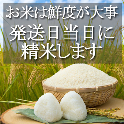 【令和7年産　新米】千葉県産コシヒカリ 精米5kg お米マイスター厳選/推奨 甘味と粘りに自信あり