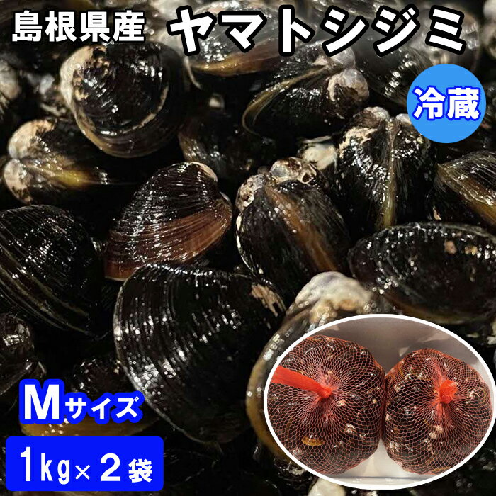 【ふるさと納税】日本一！しまねのヤマトシジミ！Мサイズ | 大和しじみ 生 冷蔵 島根県産 味噌汁 酒蒸し 炊き込み ご飯