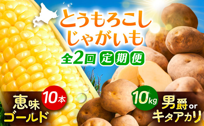 
            【全2回定期便】とうもろこし（10本）＆じゃがいも（10kg）《足寄町》【党崎農場】トウモロコシ とうもろこし 甘い 野菜 国産 新鮮 ジャガイモ じゃがいも 食べ比べ 芋 いも 定期便 北海道産 あしょろ 北海道 [BEAA008]
          